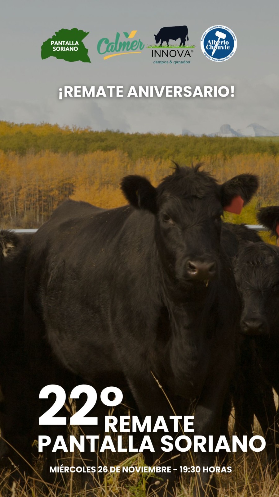 22° Remate - Pantalla Soriano